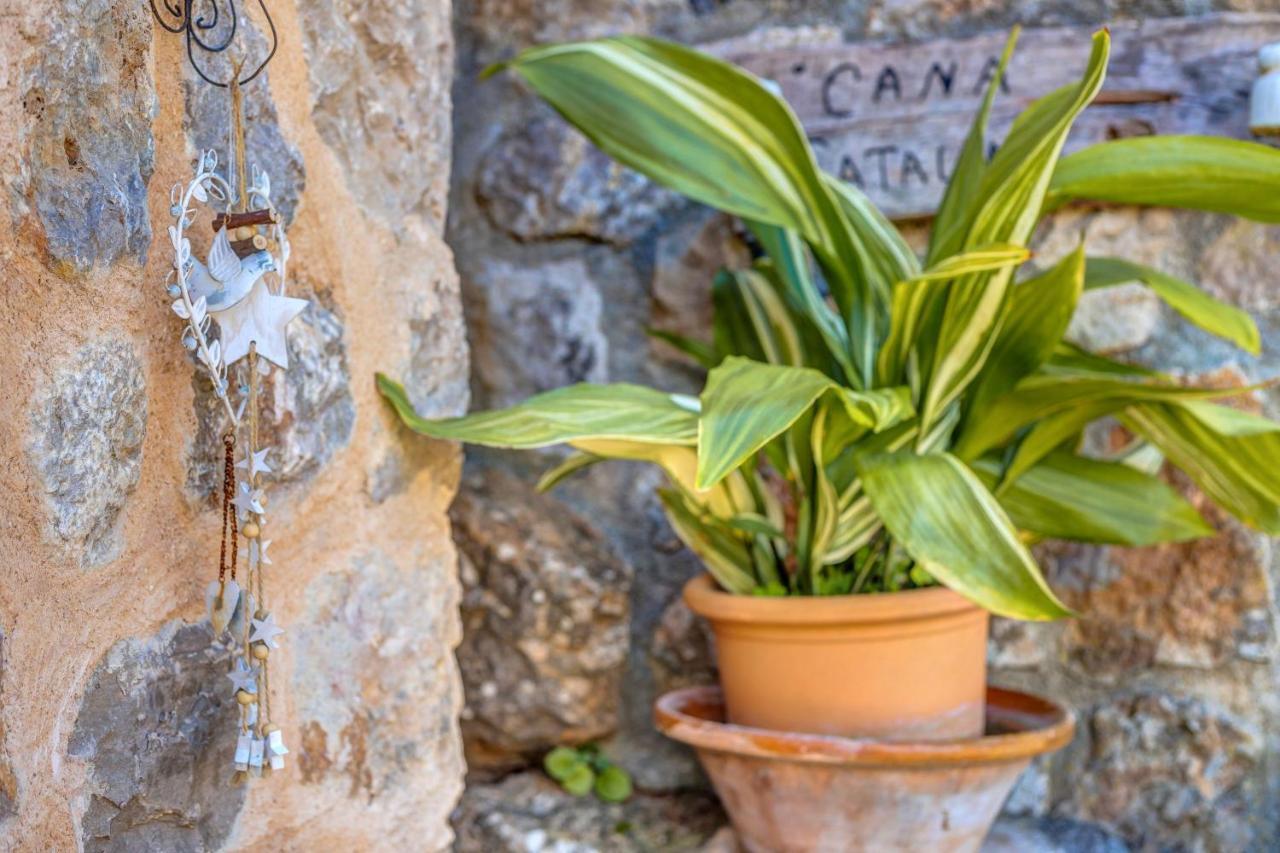 ソリェル Casa Catalinaヴィラ エクステリア 写真